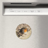 AIMANT ROBIN (In Situ (Lave-vaisselle))