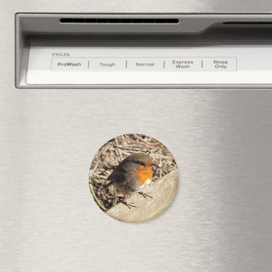 AIMANT ROBIN (In Situ (Lave-vaisselle))