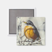 Aimant Robin (Recto/Verso)