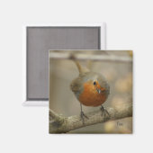 Aimant robin (Recto/Verso)