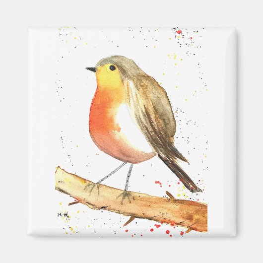 Aimant Robin (Devant)
