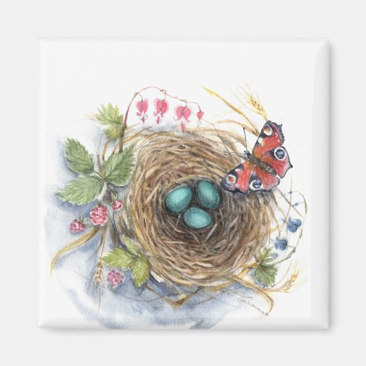 Aimant Robin Nest (Devant)
