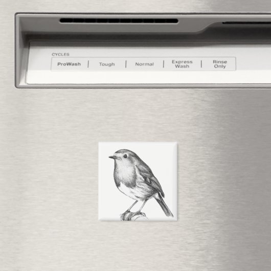 Aimant Robin Noël (In Situ (Lave-vaisselle))