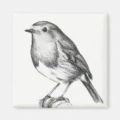 Aimant Robin Noël (Devant)