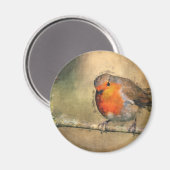 Aimant Robin Redmamin (Recto/Verso)