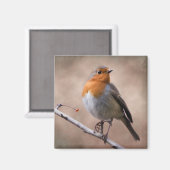 Aimant Robin Rustique (Recto/Verso)
