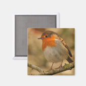 Aimant Robin sous le soleil (Recto/Verso)