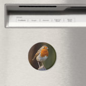 Aimant Robin sur l'aimant Post (In Situ (Lave-vaisselle))