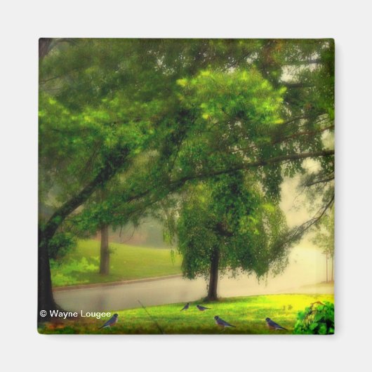 Aimant Robins sur l'aimant de la pelouse (Devant)