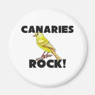 Aimant Roche des Canaries