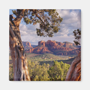 Aimant Roche rouge   Sedona Arizona
