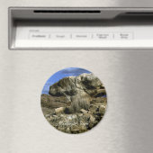Aimant Rocher Champignon (In Situ (Lave-vaisselle))