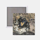 Aimant Rocher du Coeur caché sur le Rocher (Recto/Verso)