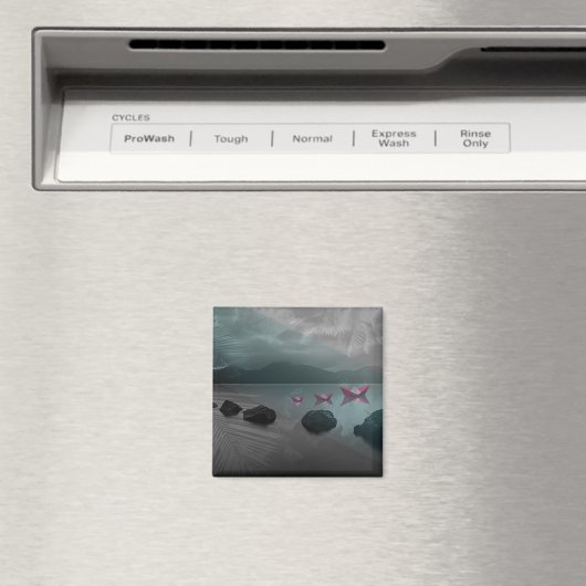 Aimant Rochers (In Situ (Lave-vaisselle))