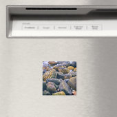 Aimant Roches colorées (In Situ (Lave-vaisselle))