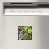 Aimant Roches recouvertes de mousse avec eau floue et fou (In Situ (Lave-vaisselle))