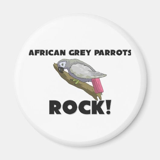 Aimant Rock de perroquets gris d'Afrique (Devant)
