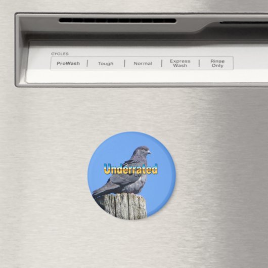 Aimant Rock Dove Pigeon (In Situ (Lave-vaisselle))