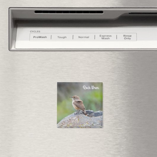 Aimant Rock Wren (In Situ (Lave-vaisselle))