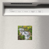 Aimant Rocks National Lakeshore, Sable Falls (In Situ (Lave-vaisselle))