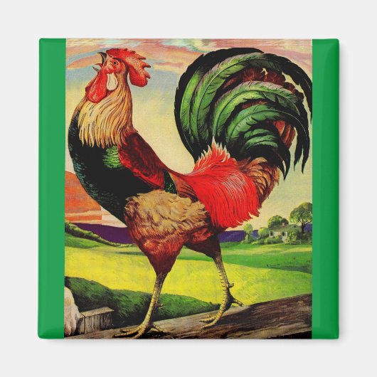 Aimant Rocky the Handsome Rooster (Devant)