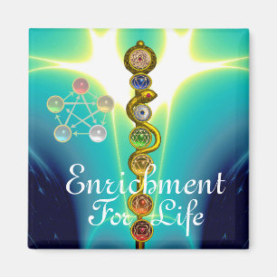 AIMANT RODE D'ASCLEPIUS 7 CHAKRAS, YOGA, ÉNERGIE SPIRITUE