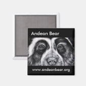 Aimant Roger Manrique aimnet (Recto/Verso)