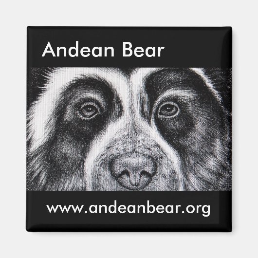 Aimant Roger Manrique aimnet (Devant)