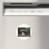 Aimant Roi Bolete - Je devrais te tuer (In Situ (Lave-vaisselle))