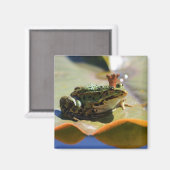 Aimant Roi de grenouille (Recto/Verso)