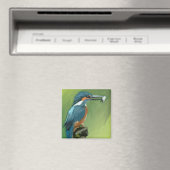 Aimant roi et poisson (In Situ (Lave-vaisselle))