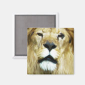 Aimant Roi imparfait (Recto/Verso)