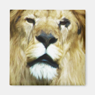 Aimant Roi imparfait