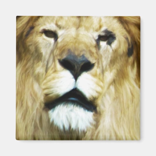 Aimant Roi imparfait (Devant)