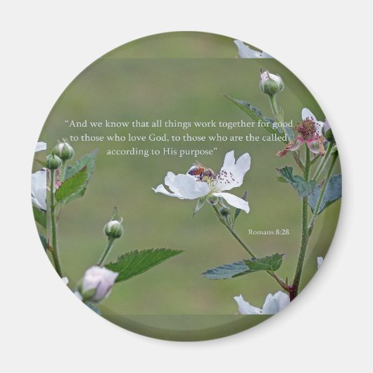 Aimant Romains 8:28 (Devant)