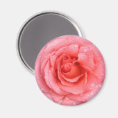 Aimant Romantique Rose rose rouge gouttes d'eau (Recto/Verso)