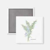 Aimant Romarin (Recto/Verso)