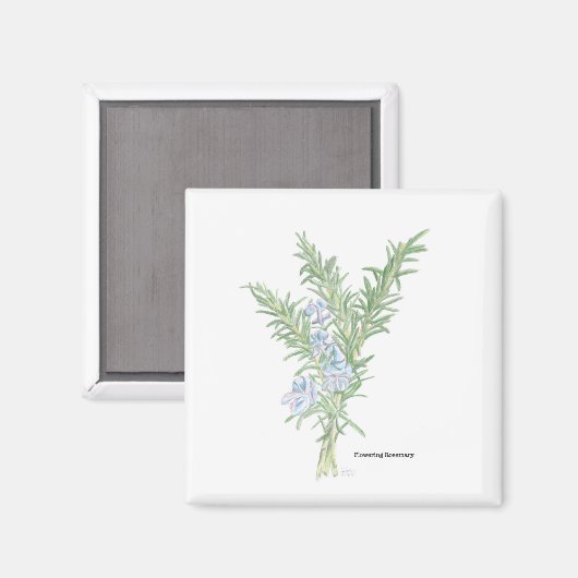 Aimant Romarin (Recto/Verso)