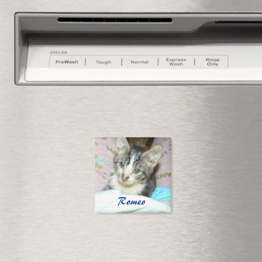 aimant roméo (In Situ (Lave-vaisselle))