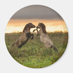 Aimant rond caracolant de chevaux sauvages