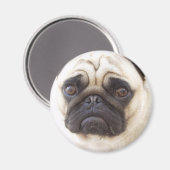 Aimant rond carlin chien (Recto/Verso)