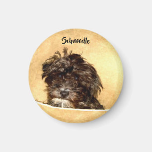 Aimant Rond Chien Schnoodle