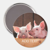 Aimant rond cochons (Recto/Verso)