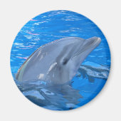 Aimant rond Dauphin à verdure (Devant)