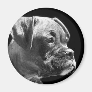 Aimant rond de chiot de boxeur