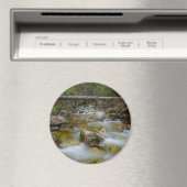 Aimant rond de crique de forêt rocheuse (In Situ (Lave-vaisselle))