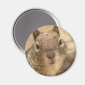Aimant rond d'écureuil souriant (Recto/Verso)