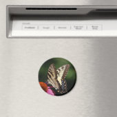 Aimant rond du tigre occidental (In Situ (Lave-vaisselle))