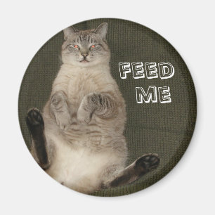 Aimant rond "FEED ME" de chat