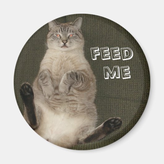 Aimant rond "FEED ME" de chat (Devant)